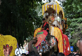  Shivamogga Dasara Elephant Panic Halts Procession